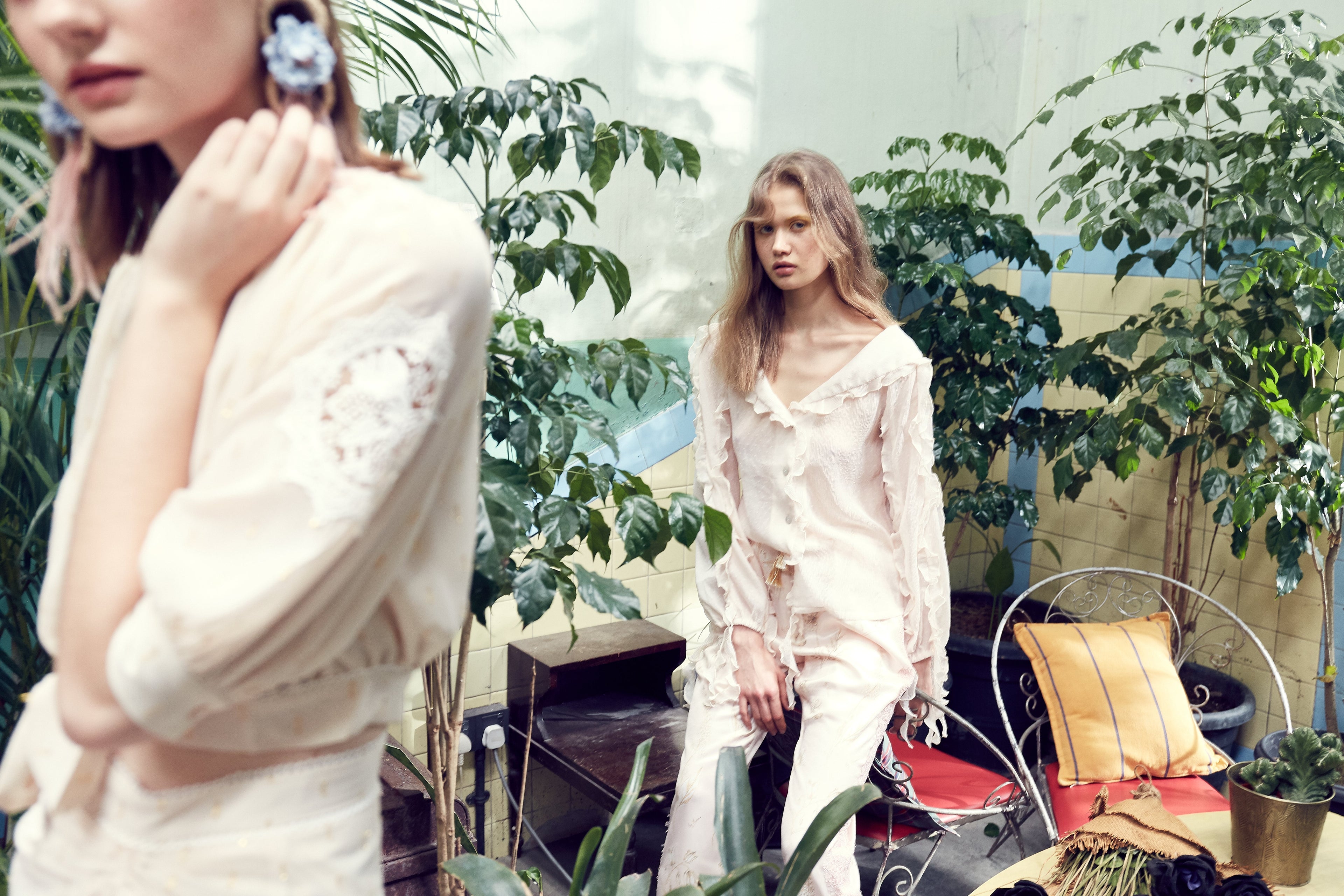 Forget Me Not Collection